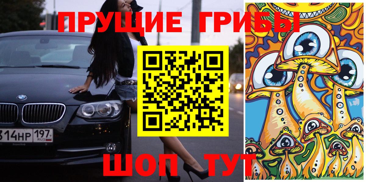 Галлюциногенные грибы Cubensis  Вход с VPN  Галлюциногенные грибы прущие грибы  Черняховск 