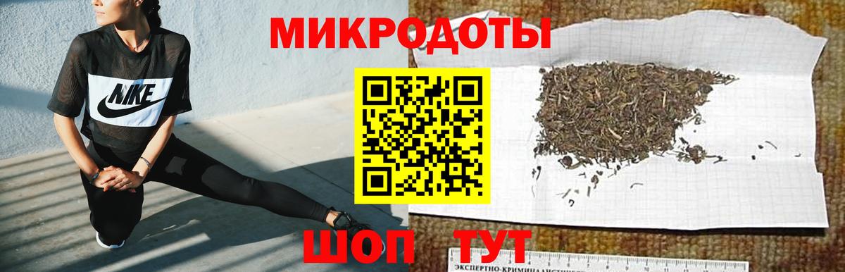 Галлюциногенные грибы Psilocybine cubensis Черняховск
